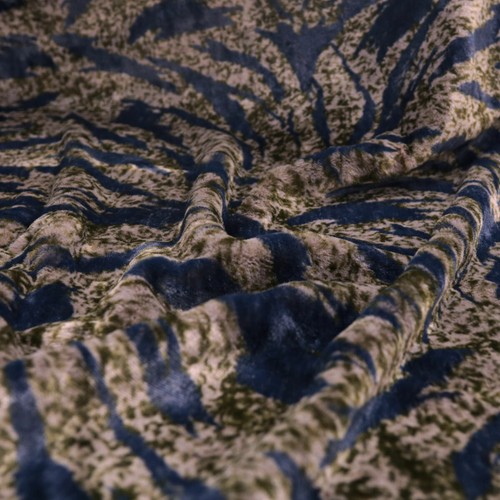 50cm kurzhaar tiger - kurzhaar,
